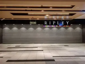 Puerta enrollable metálica comercial Cassadó instalada en tienda Ripley para seguridad en retail en Perú